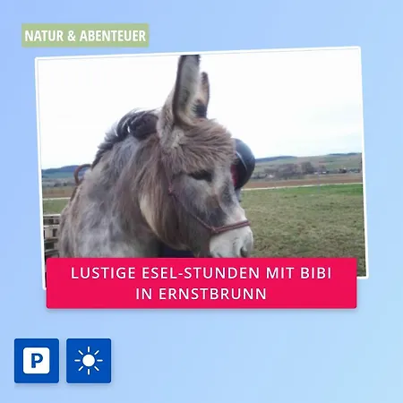 Ruheoase Naehe Wien Ferienhaus
