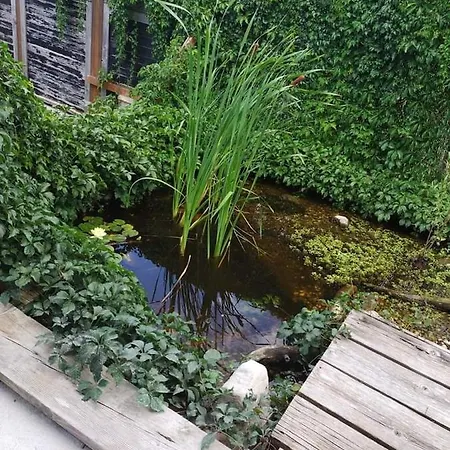 Ruheoase Naehe Wien Ferienhaus